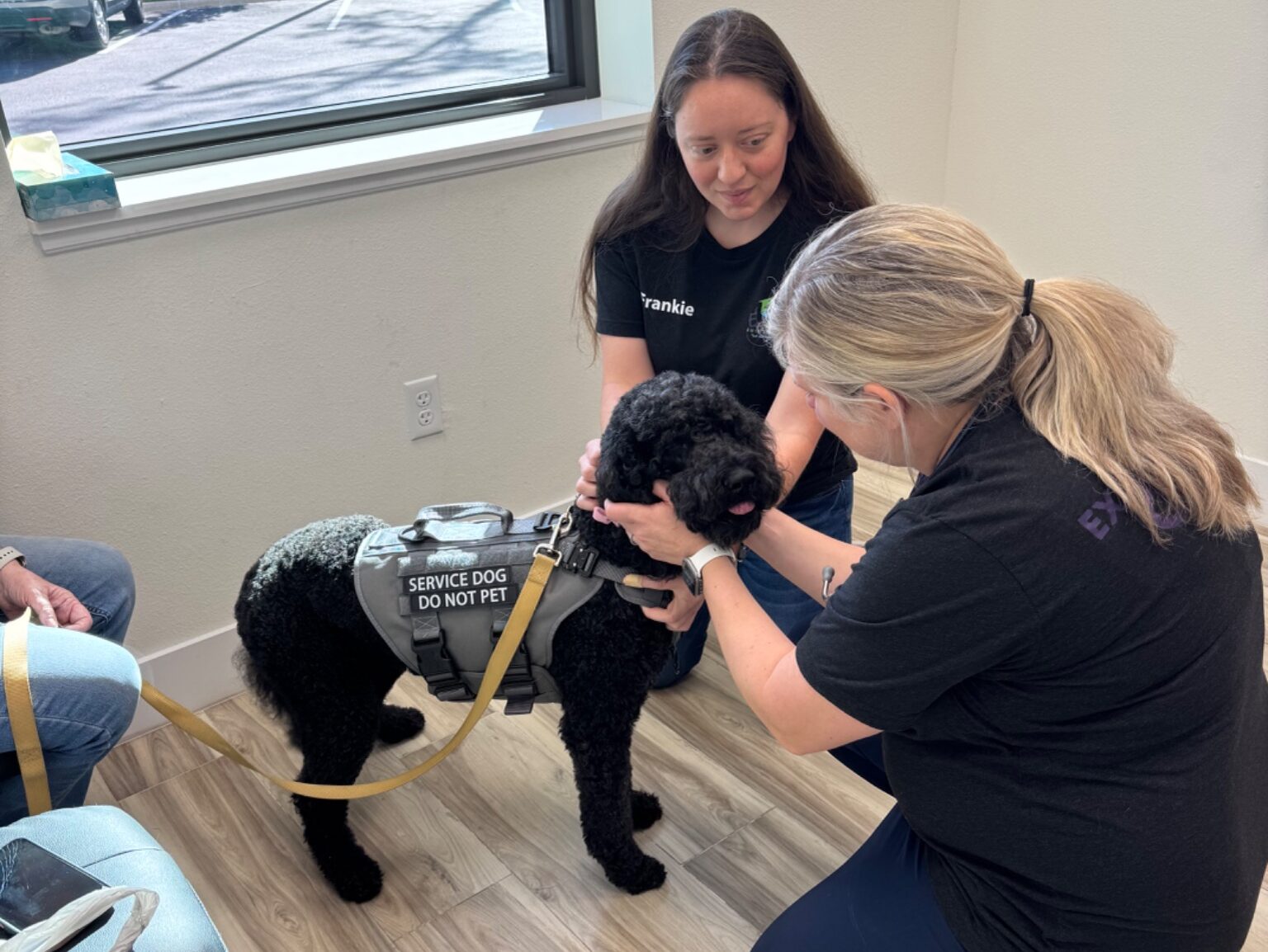Service dog receiving veterinary care during an Old Glory wellness clinic